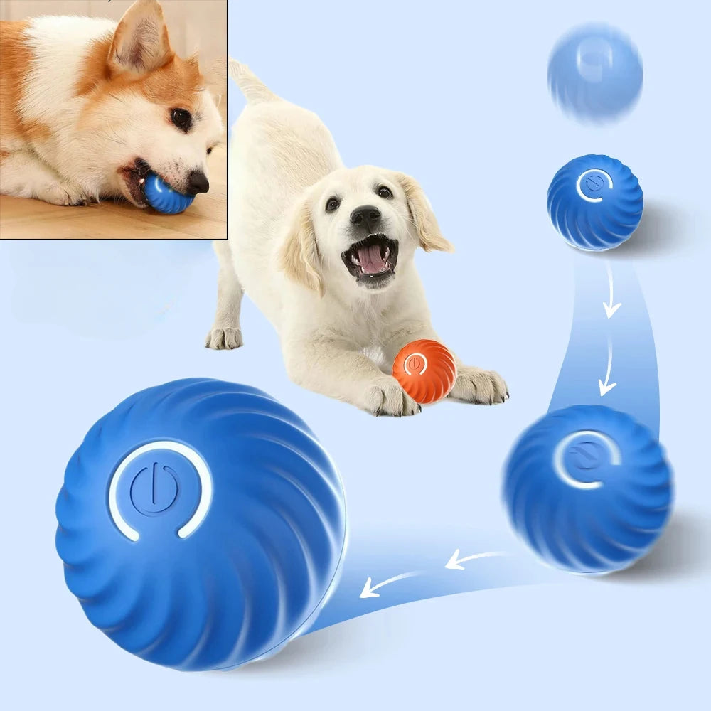 SmartBounce Dog Ball
