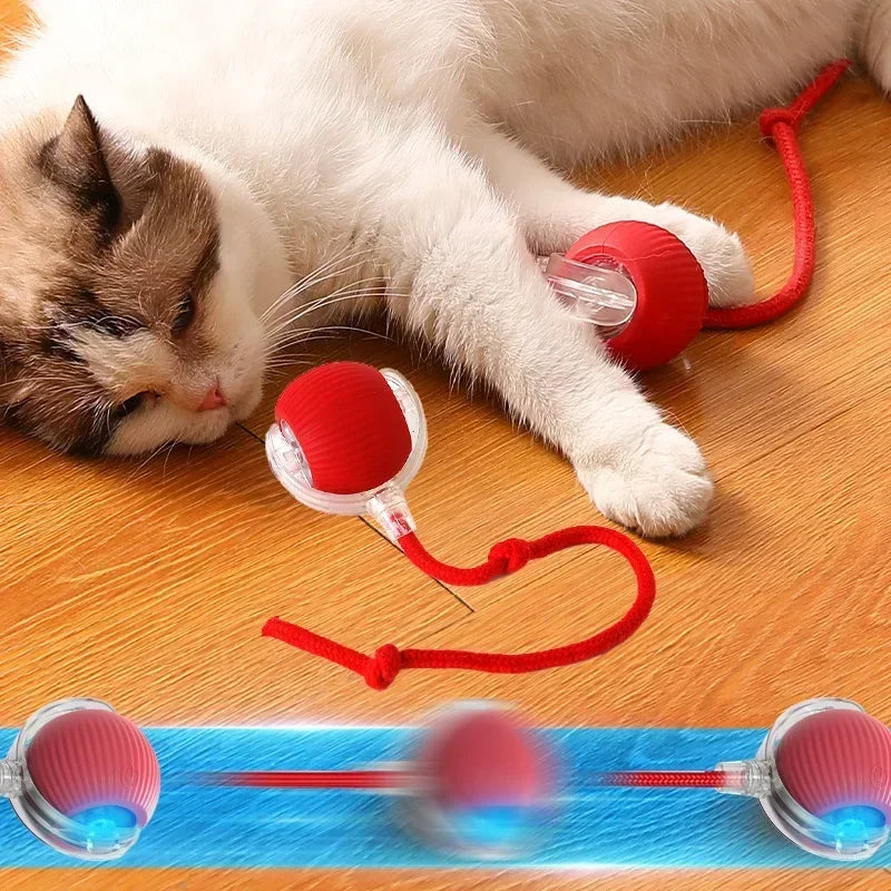 Smart Rolling Cat Ball – Rechargeable Interactive Toy with Tail