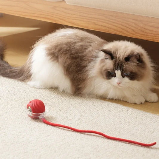 Smart Rolling Cat Ball – Rechargeable Interactive Toy with Tail