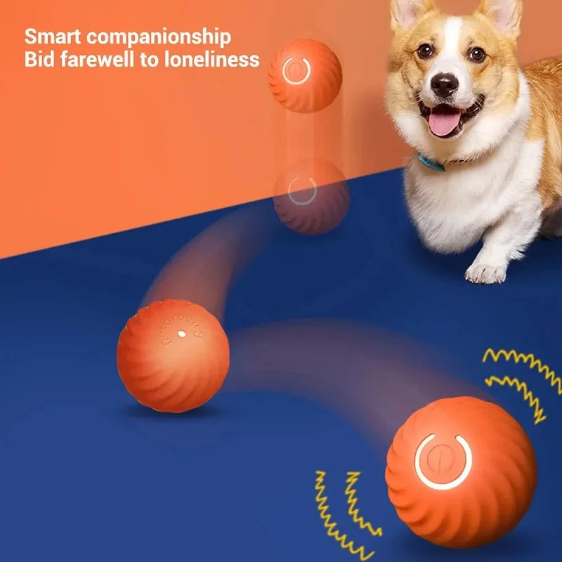 SmartBounce Dog Ball