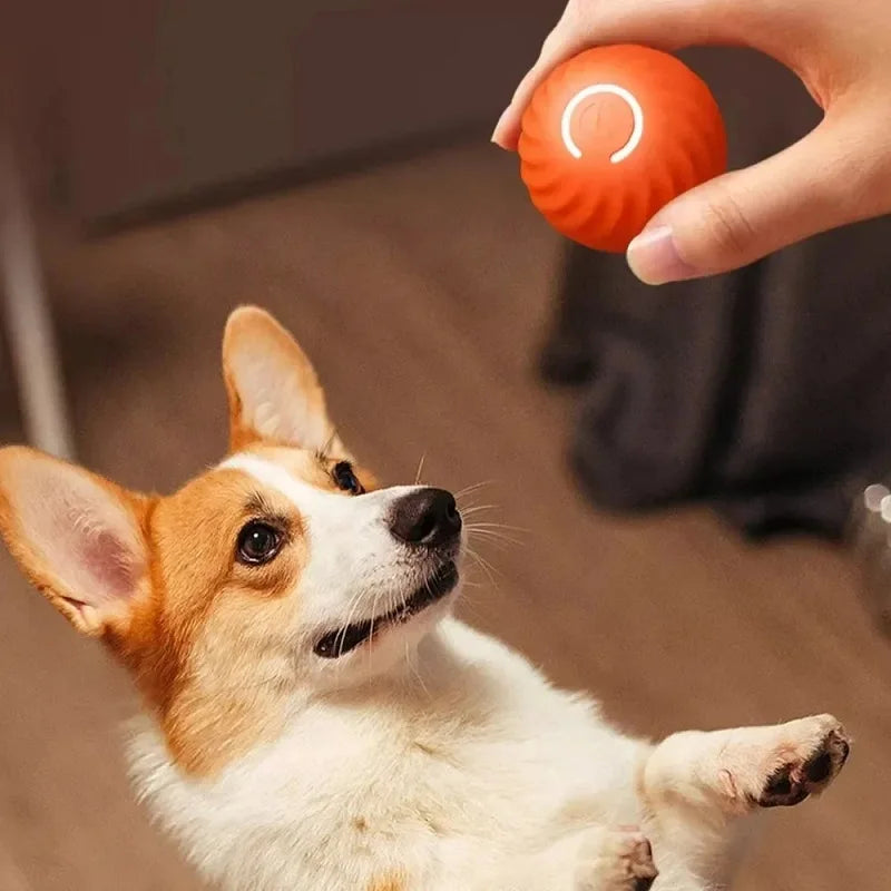 SmartBounce Dog Ball
